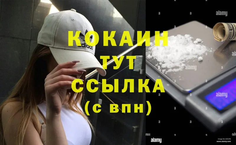 сколько стоит  Новомосковск  Cocaine VHQ 